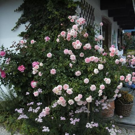 Pension Louise Reit im Winkl Exterior foto