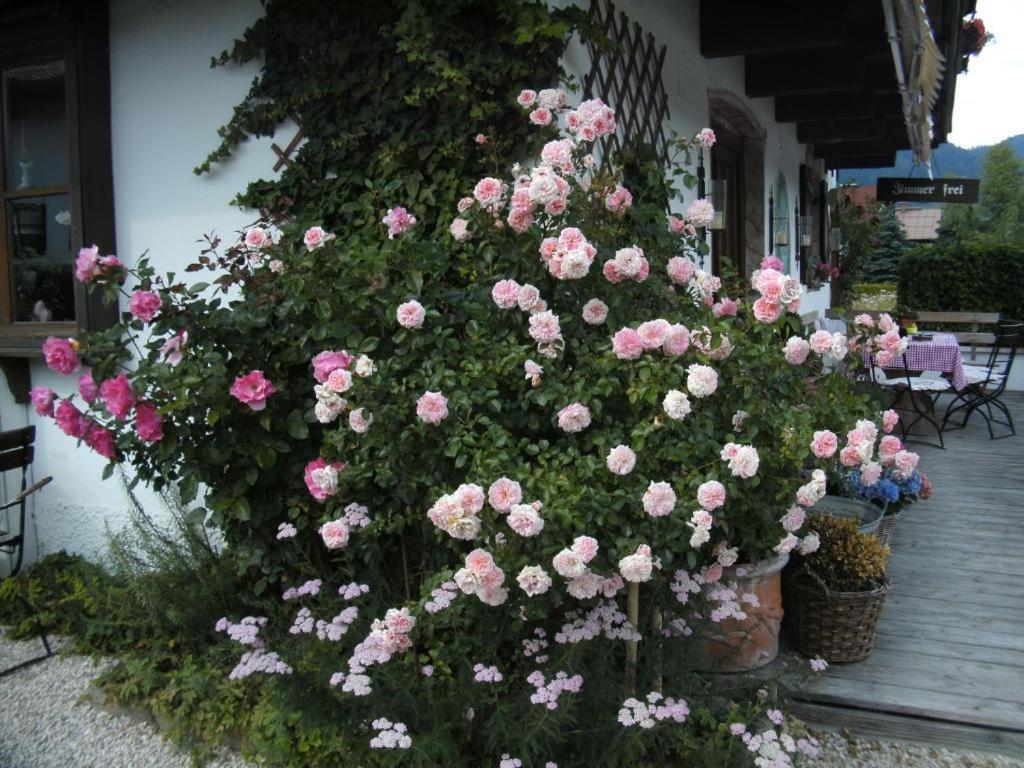 Pension Louise Reit im Winkl Exterior foto