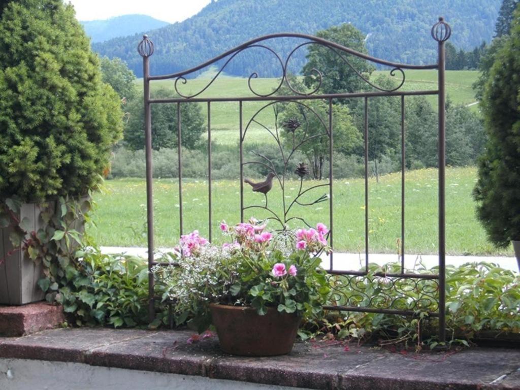 Pension Louise Reit im Winkl Exterior foto